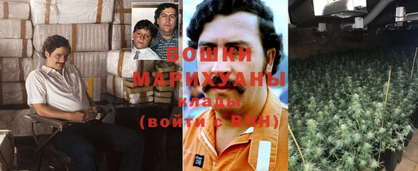 МДПВ Каменка
