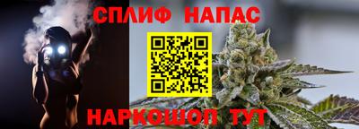 мяу мяу мука Гай