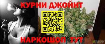 мяу мяу мука Гай