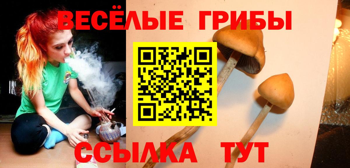 Галлюциногенные грибы Psilocybine cubensis  Вход с VPN  Красноперекопск  Галлюциногенные грибы мицелий 