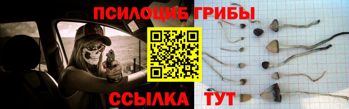 Галлюциногенные грибы Magic Shrooms Красноперекопск