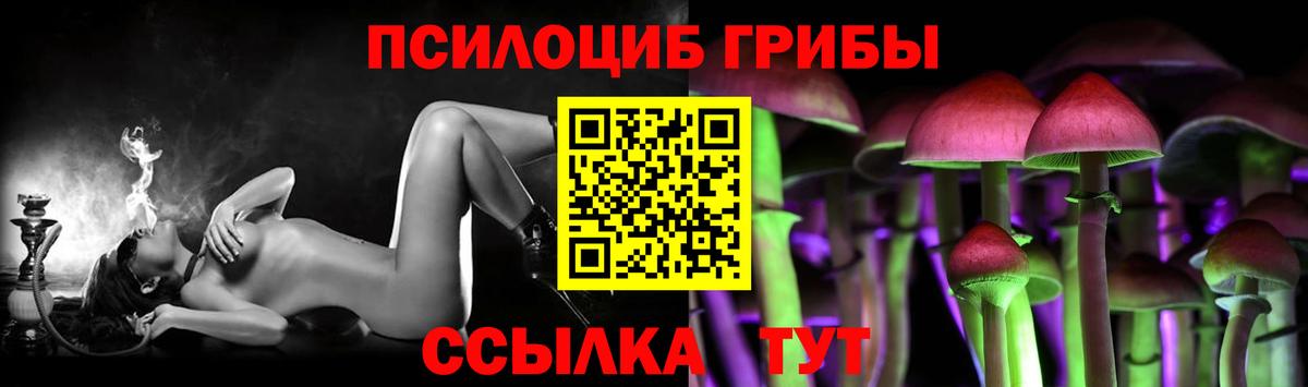 Галлюциногенные грибы GOLDEN TEACHER Красноперекопск