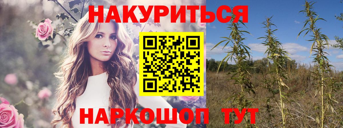 Канабис гибрид  Красноперекопск  МАРИХУАНА OG Kush 